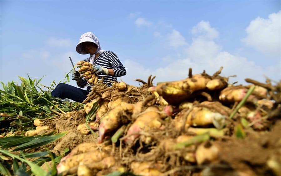 138504201 15720522493981n